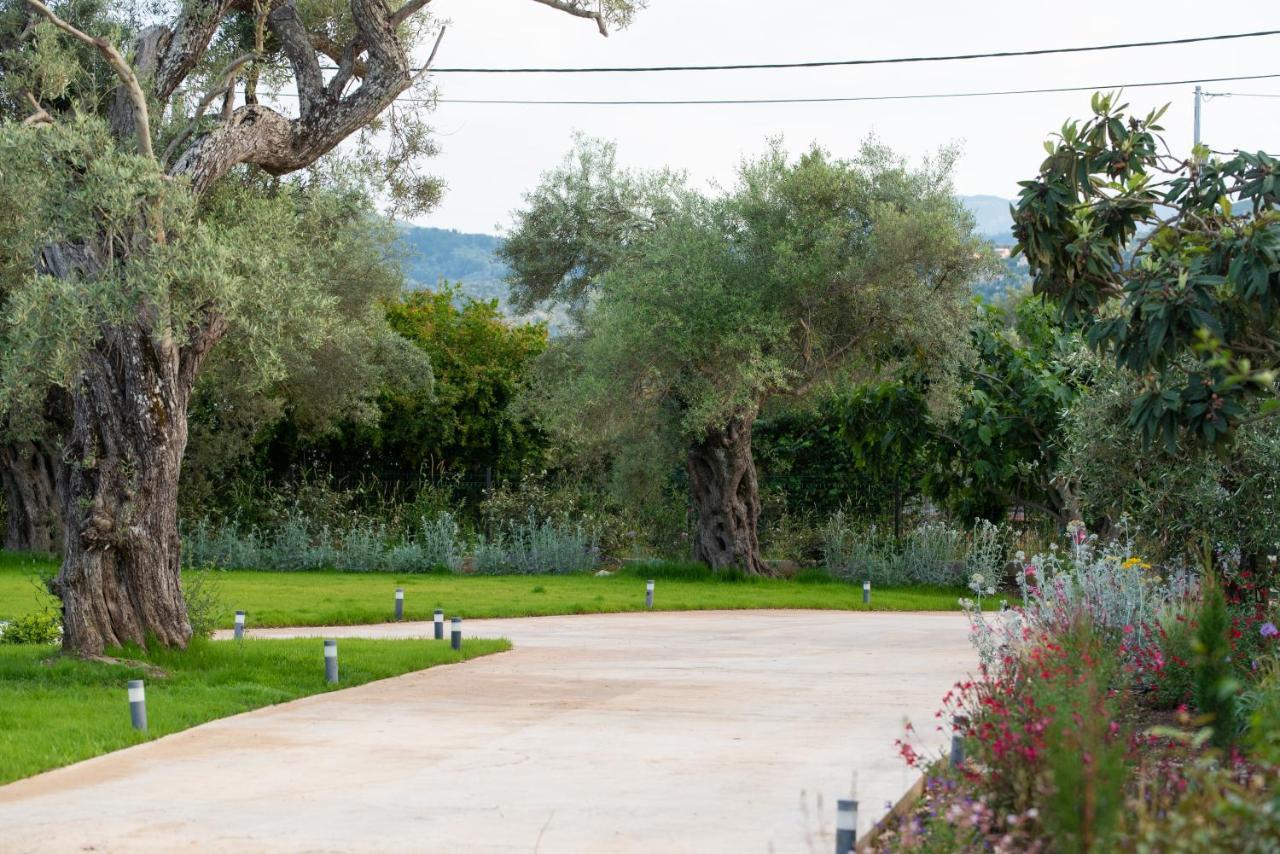 Aerinos Private Villa Lefkáda Exteriör bild